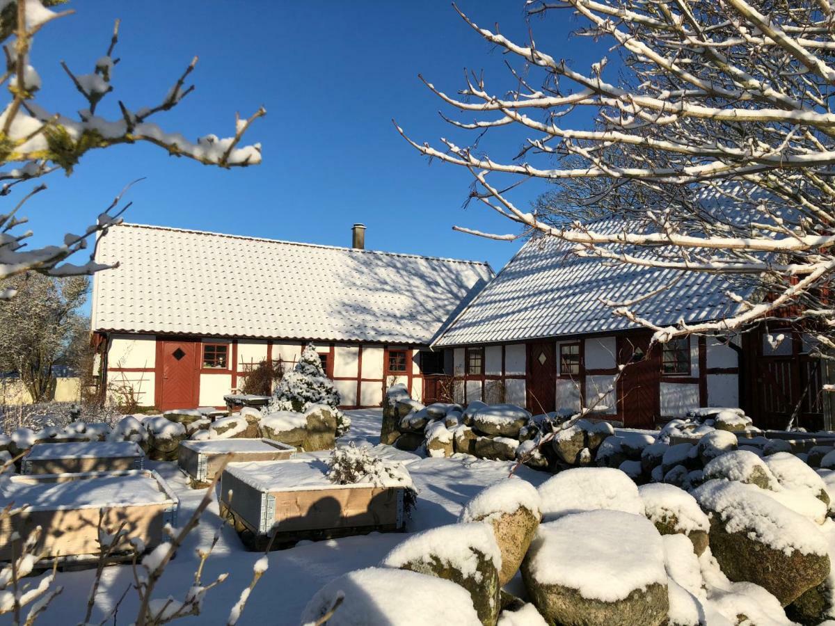 Kattalaengan Villa Brösarp Buitenkant foto