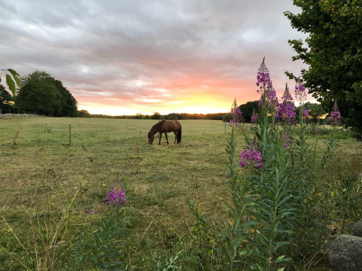 Kattalaengan Villa Brösarp Buitenkant foto
